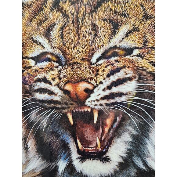 Jim Oliver Kentucky Wildcat Lithograph Plate 32 Signed Embossed Framed Art - Picture 3 of 12